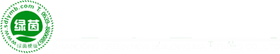 灵璧县际弄服装店